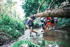 BIB: 
                            <button type="button" onclick="openModal(25465573)" class="btn btn-primary btn-sm float-right btn-popup" data-toggle="modal" data-target=".modal-high-quality">
                        <i class="fas fa-shopping-cart"></i> Add to Cart
                    </button>
                                            <button type="button" onclick="isThisMe(25465573, true)" class="btn btn-success btn-sm float-right btn-popup btn-isme hidden" data-toggle="tooltip" data-placement="bottom" title="นี่คือรูปของคุณใช่ไหม คลิกที่นี่เพื่อเอาเข้าอัลบั้ม">
                        <i class="fas fa-plus"></i> Add to album
                    </button>
                    <button type="button" onclick="isThisMe(25465573, false)" class="btn btn-warning btn-sm float-right btn-popup btn-isnotme hidden">
                        <i class="fas fa-ban"></i> Remove from album
                    </button>